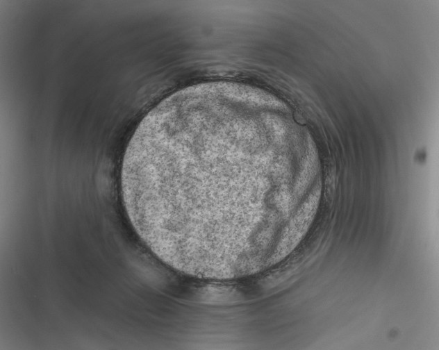 X0000116780270201001141518