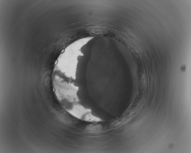 X0000116780271201001141518