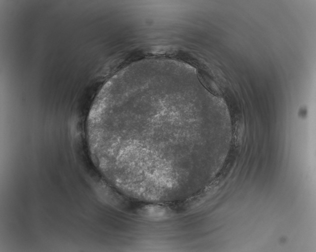 X0000116780272201001141518