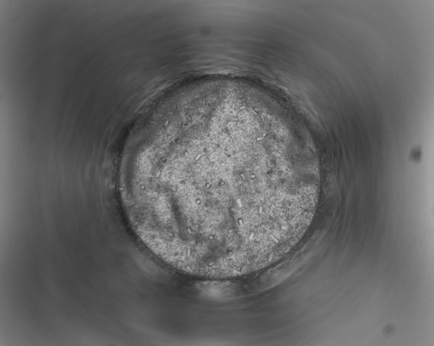 X0000116780273201001141518
