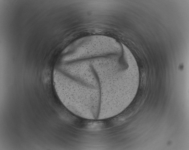 X0000116780274201001141518