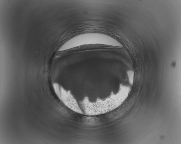 X0000116780277201001141518