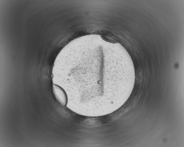 X0000116780280201001141518