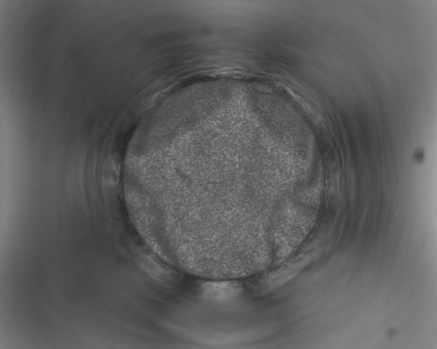 X0000116780281201001141518