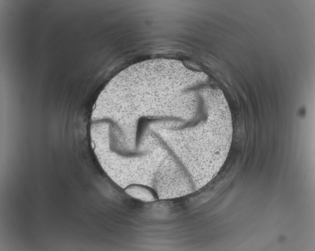 X0000116780282201001141518