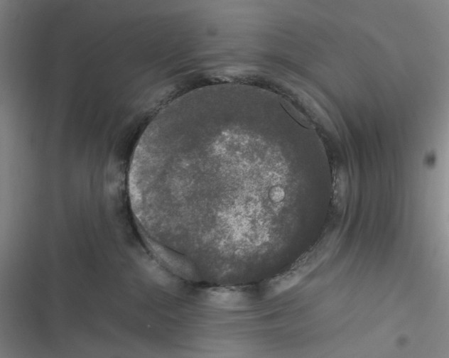 X0000116780284201001141518