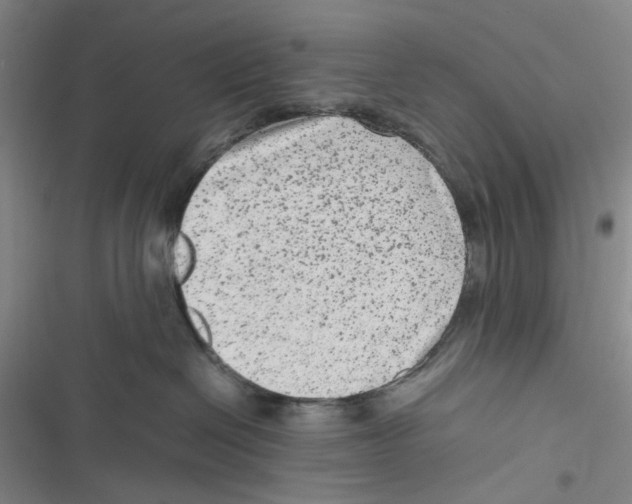 X0000116780286201001141518