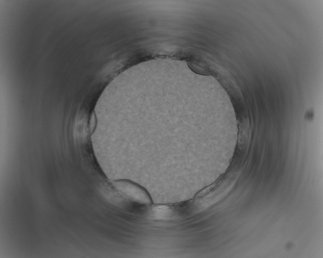 X0000116780287201001141518