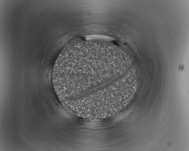 X0000116780288201001141518