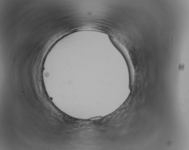 X0000116780289201001141517