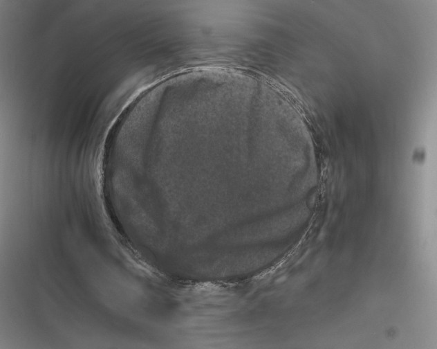 X0000116780290201001141517