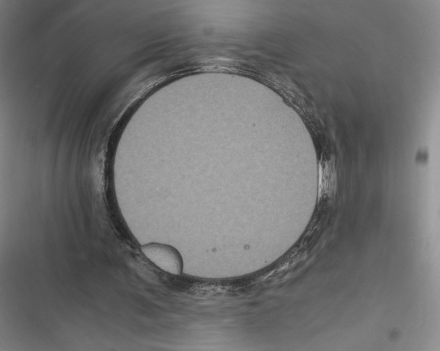 X0000116780291201001141517