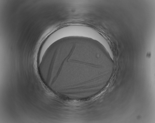 X0000116780293201001141517