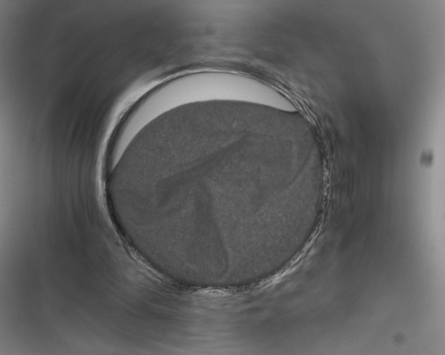 X0000116780294201001141517