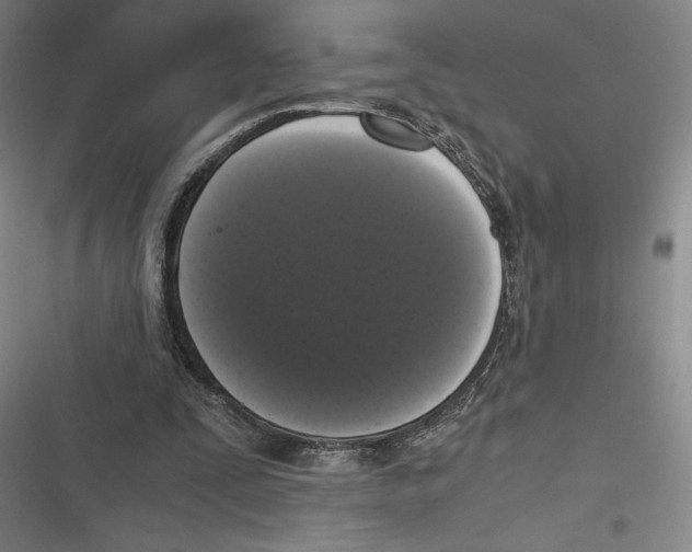 X0000116780295201001141517