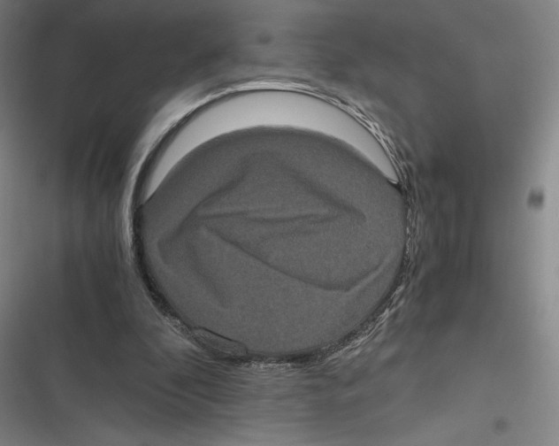 X0000116780296201001141517