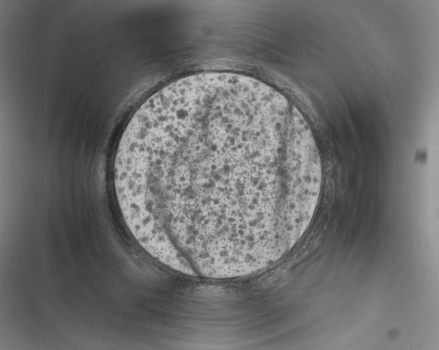 X0000116780298201001141517