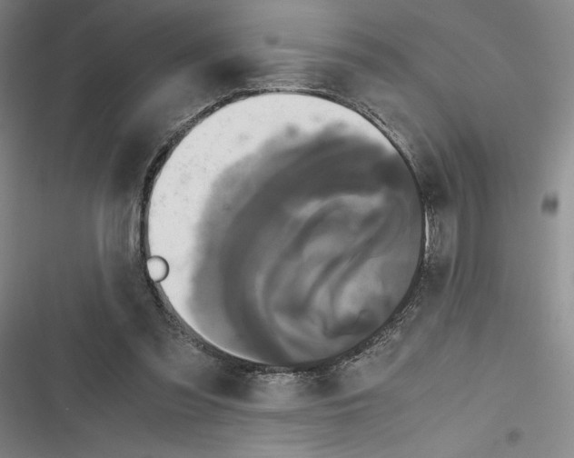 X0000116780301201001141517