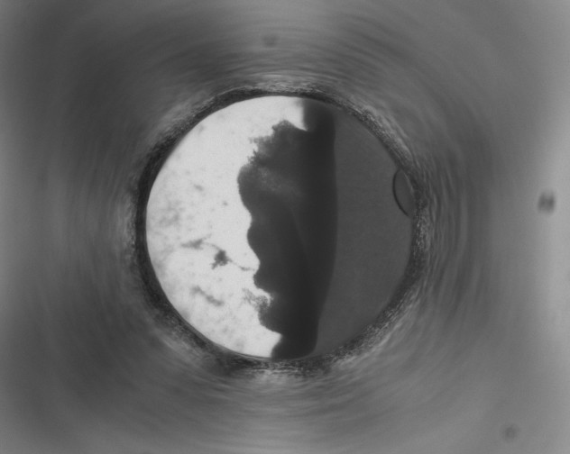 X0000116780303201001141517