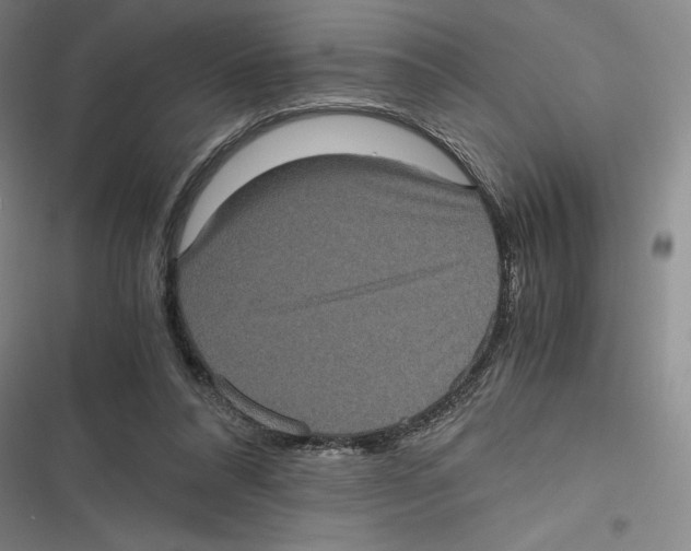 X0000116780304201001141517