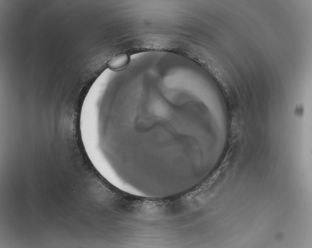 X0000116780305201001141517