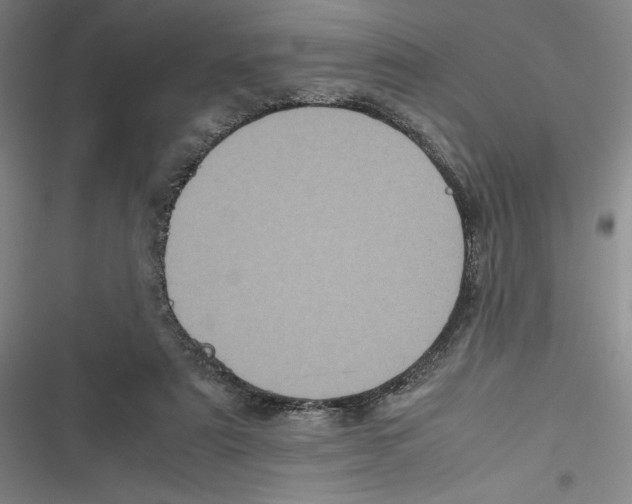 X0000116780307201001141517