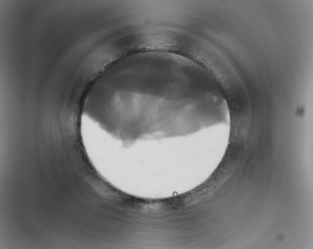 X0000116780309201001141517