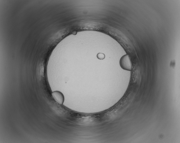 X0000116780310201001141517