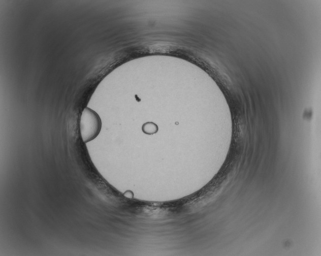 X0000116780311201001141517