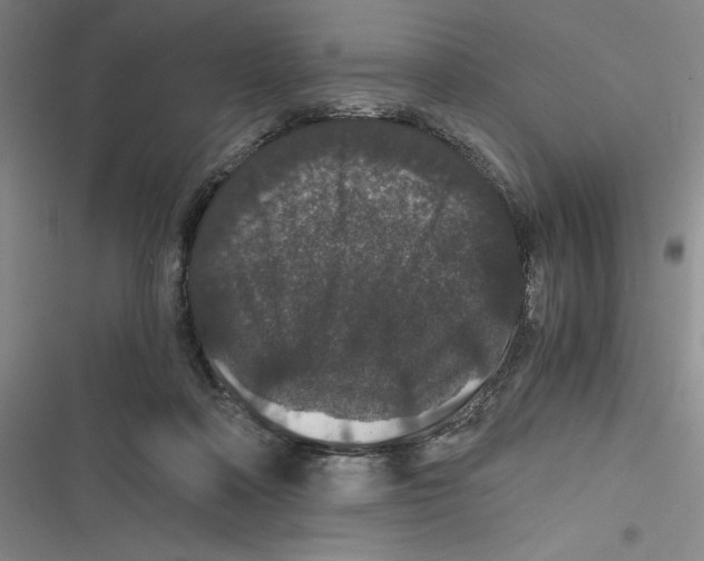 X0000116780314201001141517