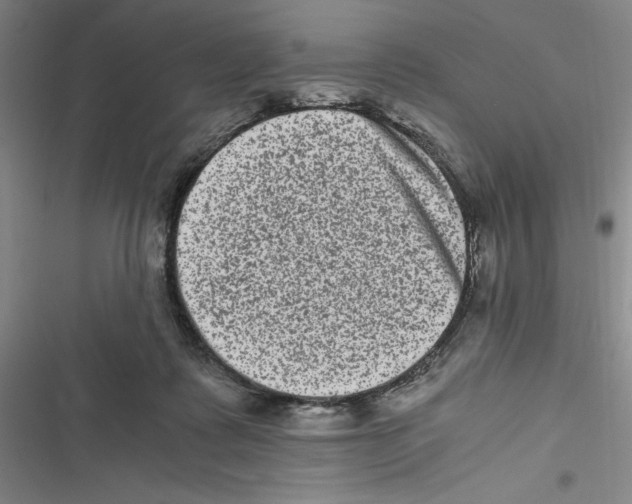 X0000116780315201001141517