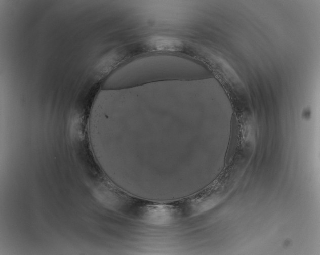 X0000116780316201001141517