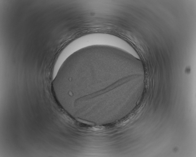 X0000116780317201001141517