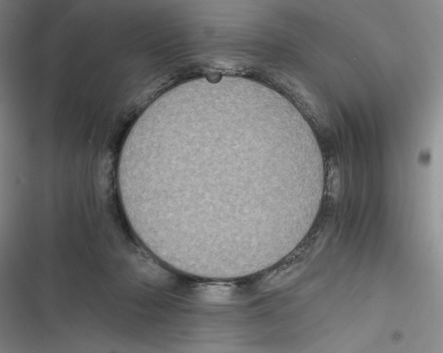 X0000116780318201001141517