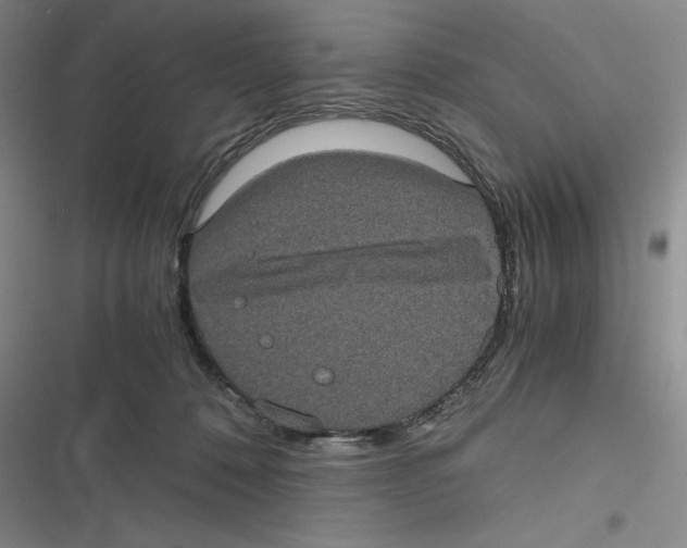 X0000116780320201001141517