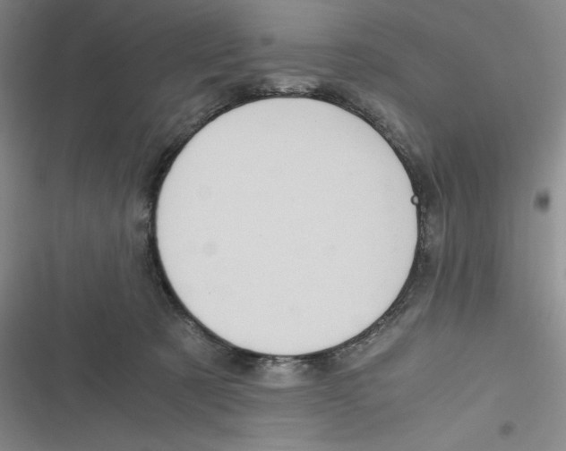 X0000116780321201001141517