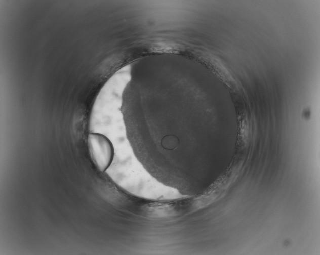 X0000116780322201001141517