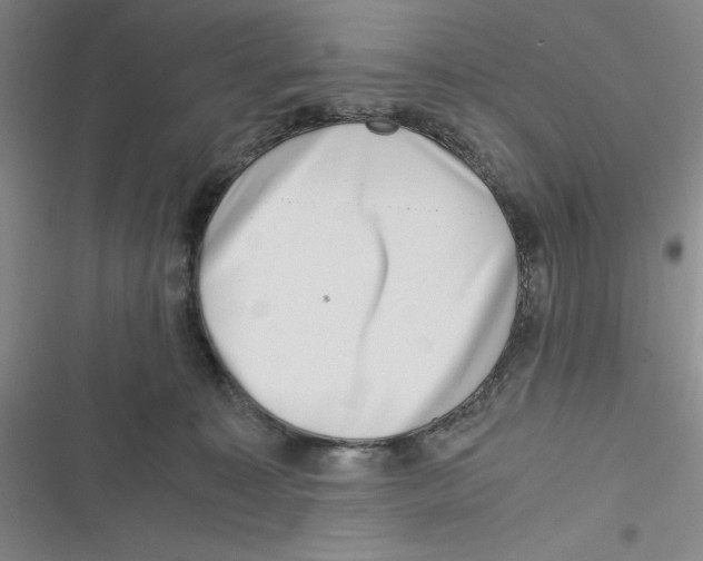 X0000116780323201001141517