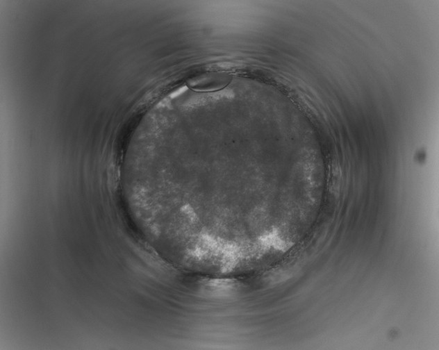 X0000116780324201001141517