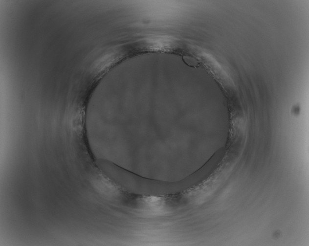 X0000116780325201001141517