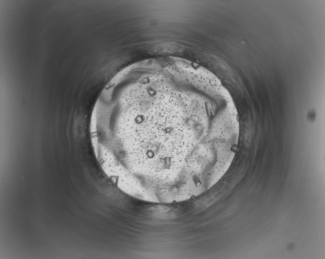 X0000116780326201001141517