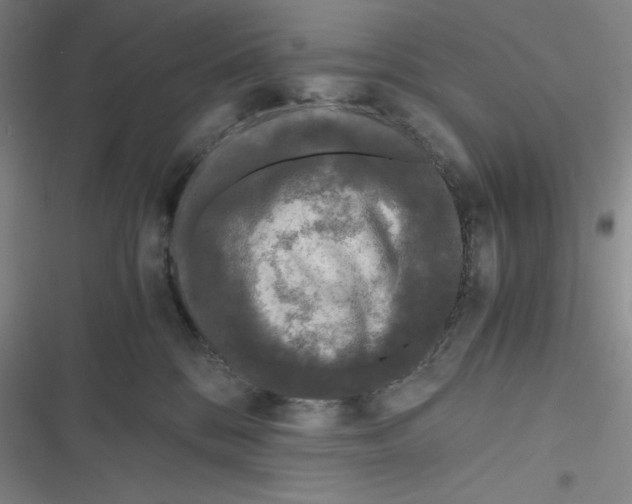 X0000116780328201001141517