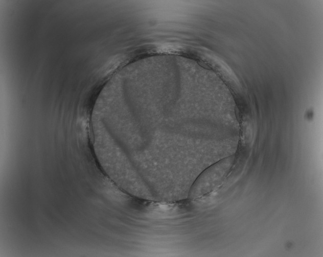 X0000116780329201001141517