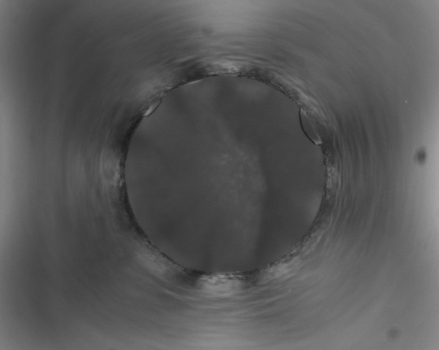 X0000116780331201001141517