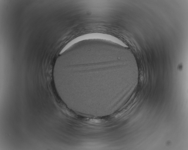 X0000116780332201001141517