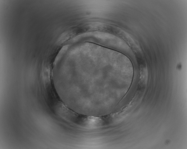 X0000116780333201001141517