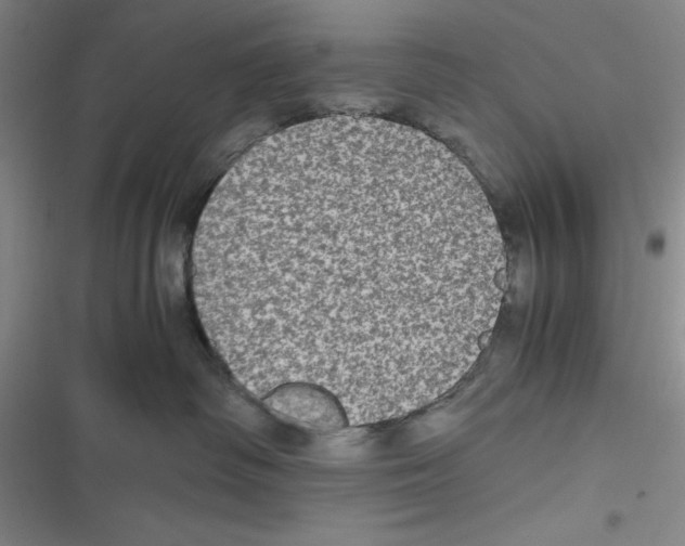 X0000116780334201001141517