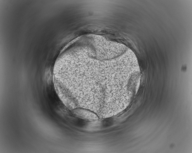 X0000116780335201001141517