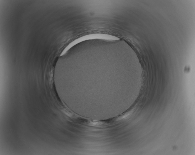 X0000116780336201001141517