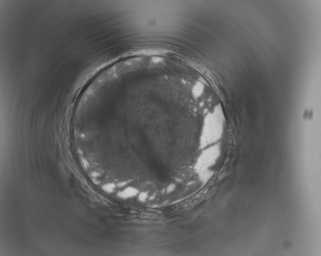 X0000116780337201001141516